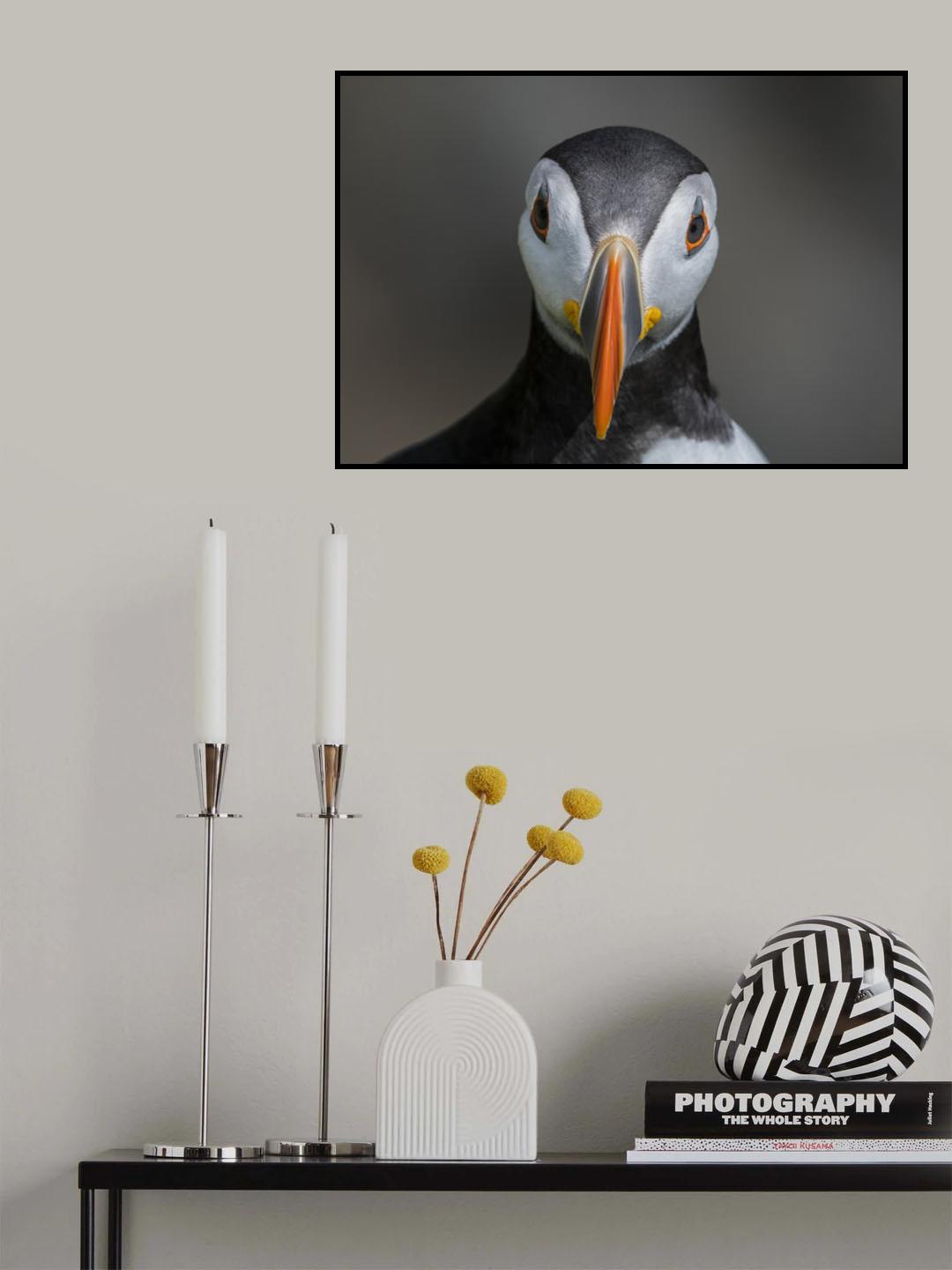 PUFFIN PORTRAIT Poster och Canvastavla