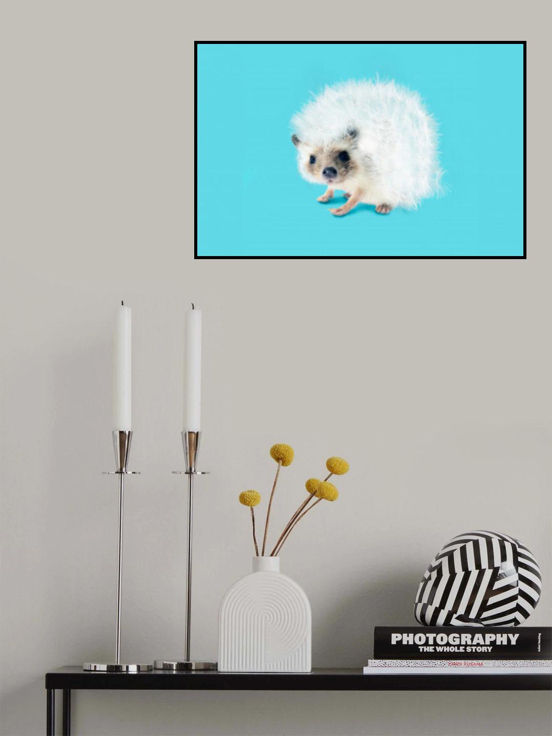 Prickly Like Dandelion Poster och Canvastavla