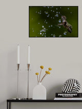 Water playing Poster och Canvastavla