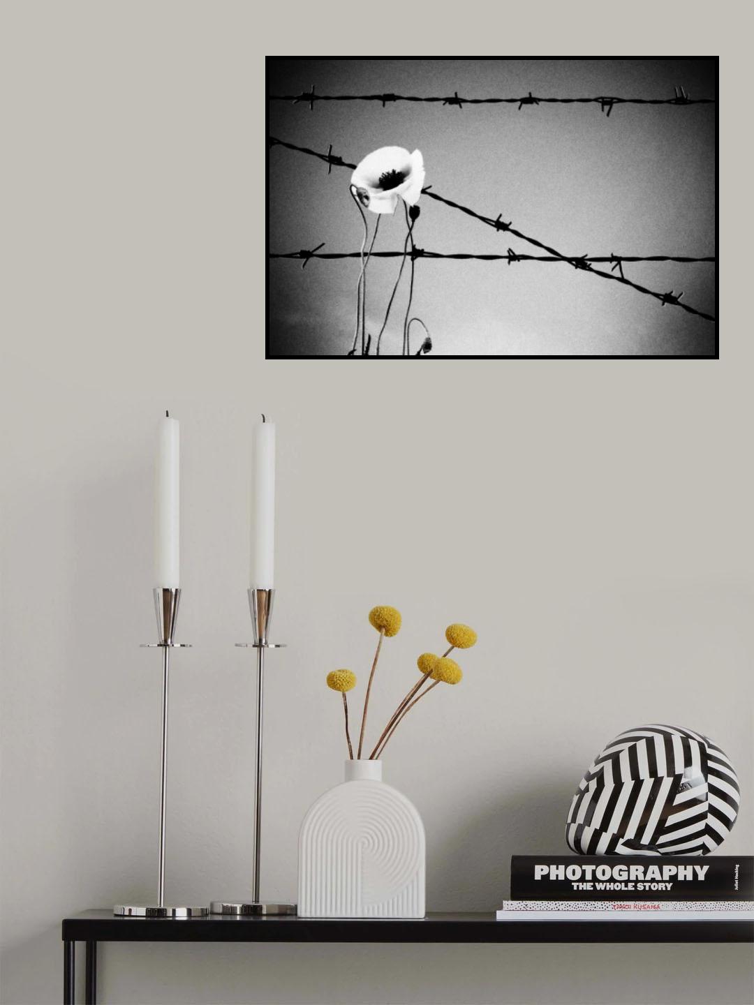 Poster och Canvastavla