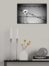 Poster och Canvastavla