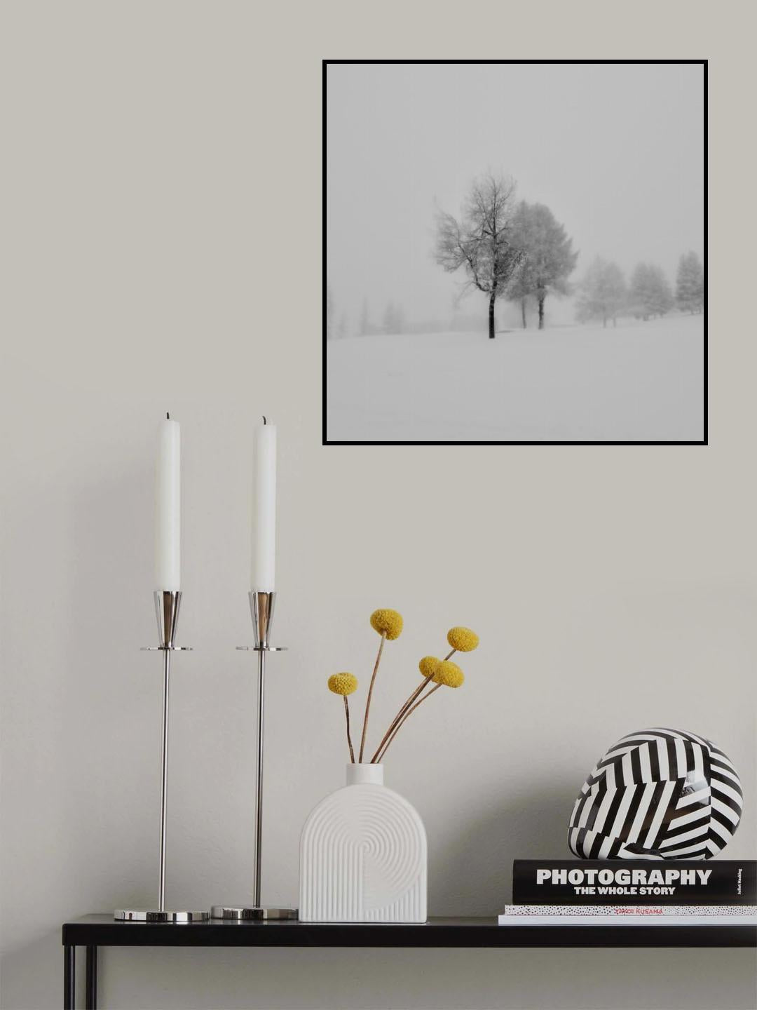 mist and snow Poster och Canvastavla