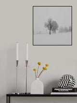 mist and snow Poster och Canvastavla