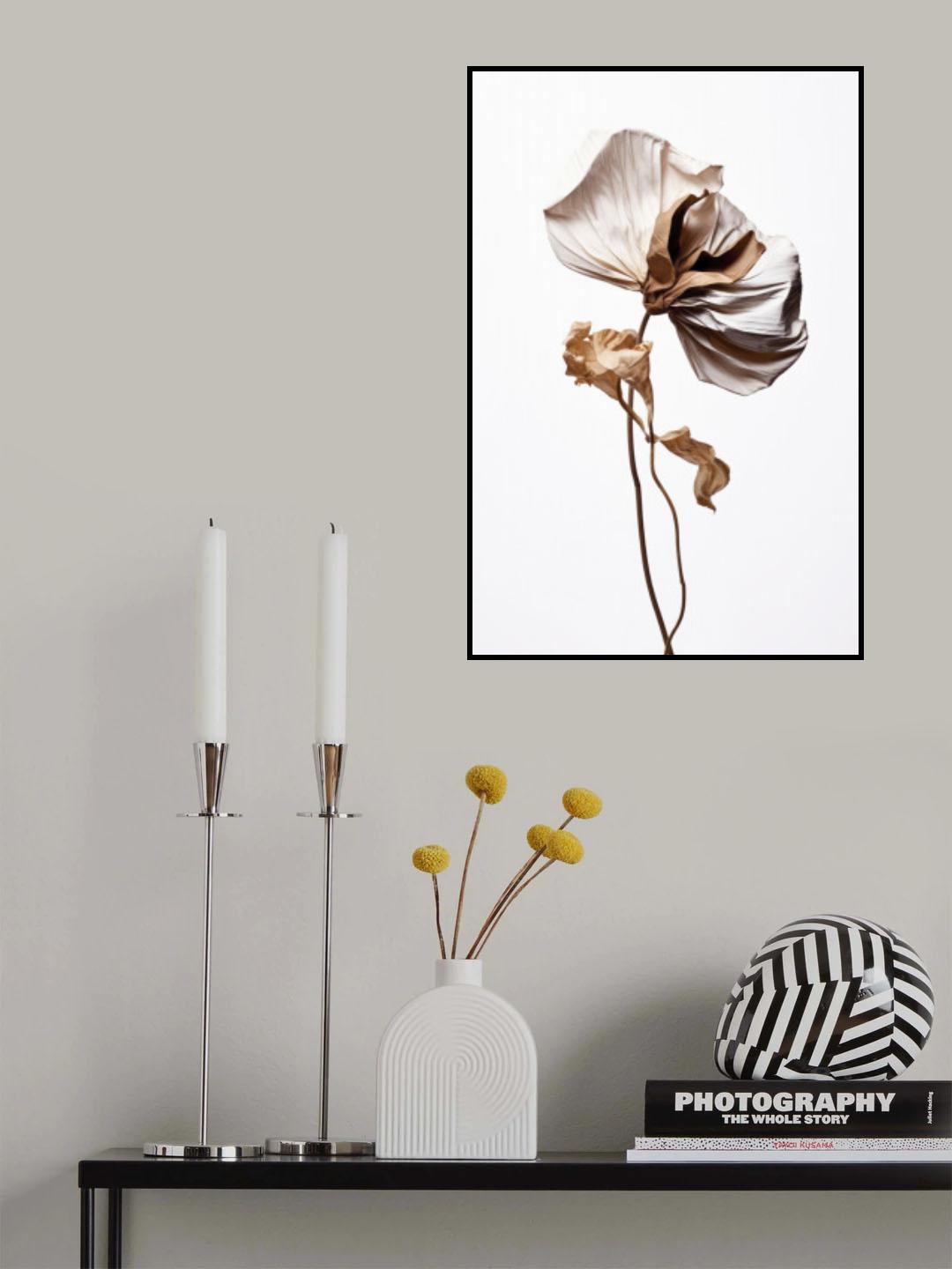 The Beauty Of Aging Poster och Canvastavla