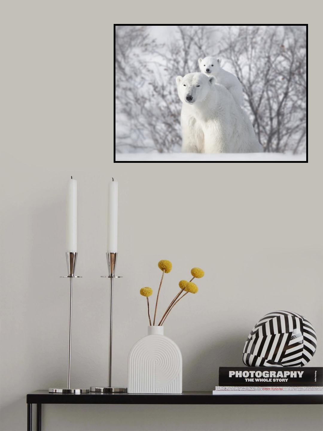 Climbing Poster och Canvastavla