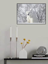 Climbing Poster och Canvastavla