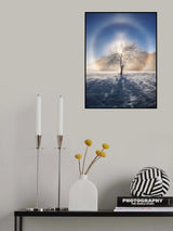 Ring of frost Poster och Canvastavla