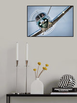 Joy ride Poster och Canvastavla