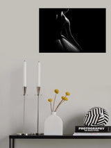 n/t Poster och Canvastavla