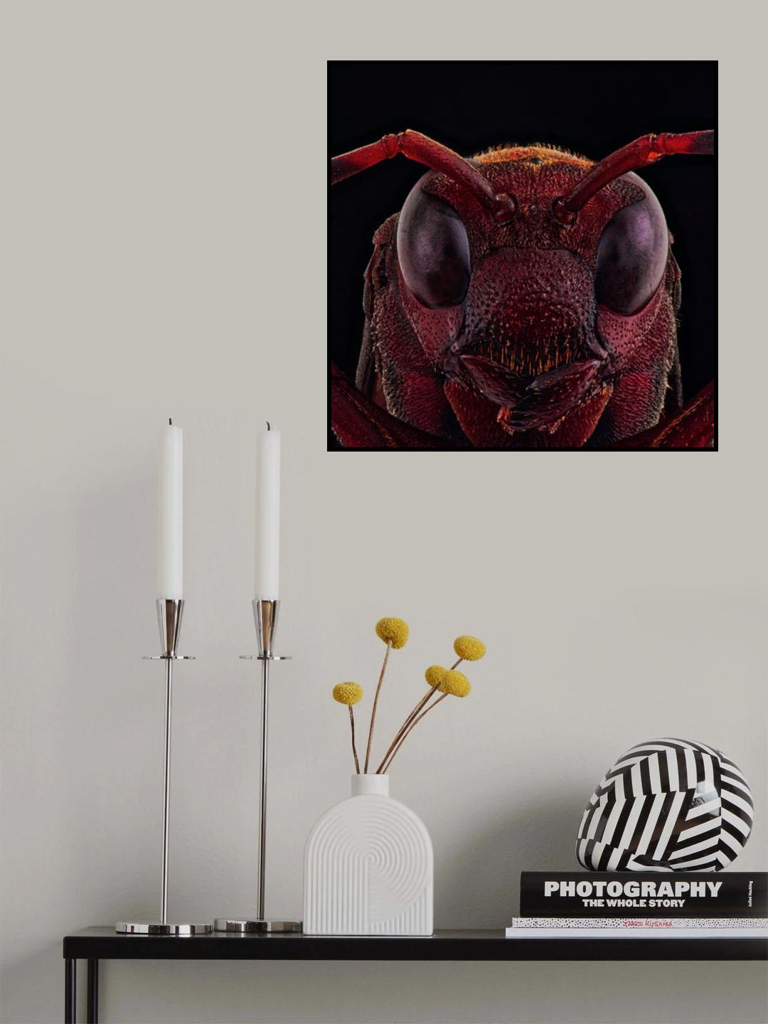 The Red Devil Poster och Canvastavla
