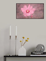 PINK 2 Poster och Canvastavla