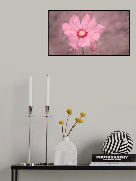 PINK 2 Poster och Canvastavla