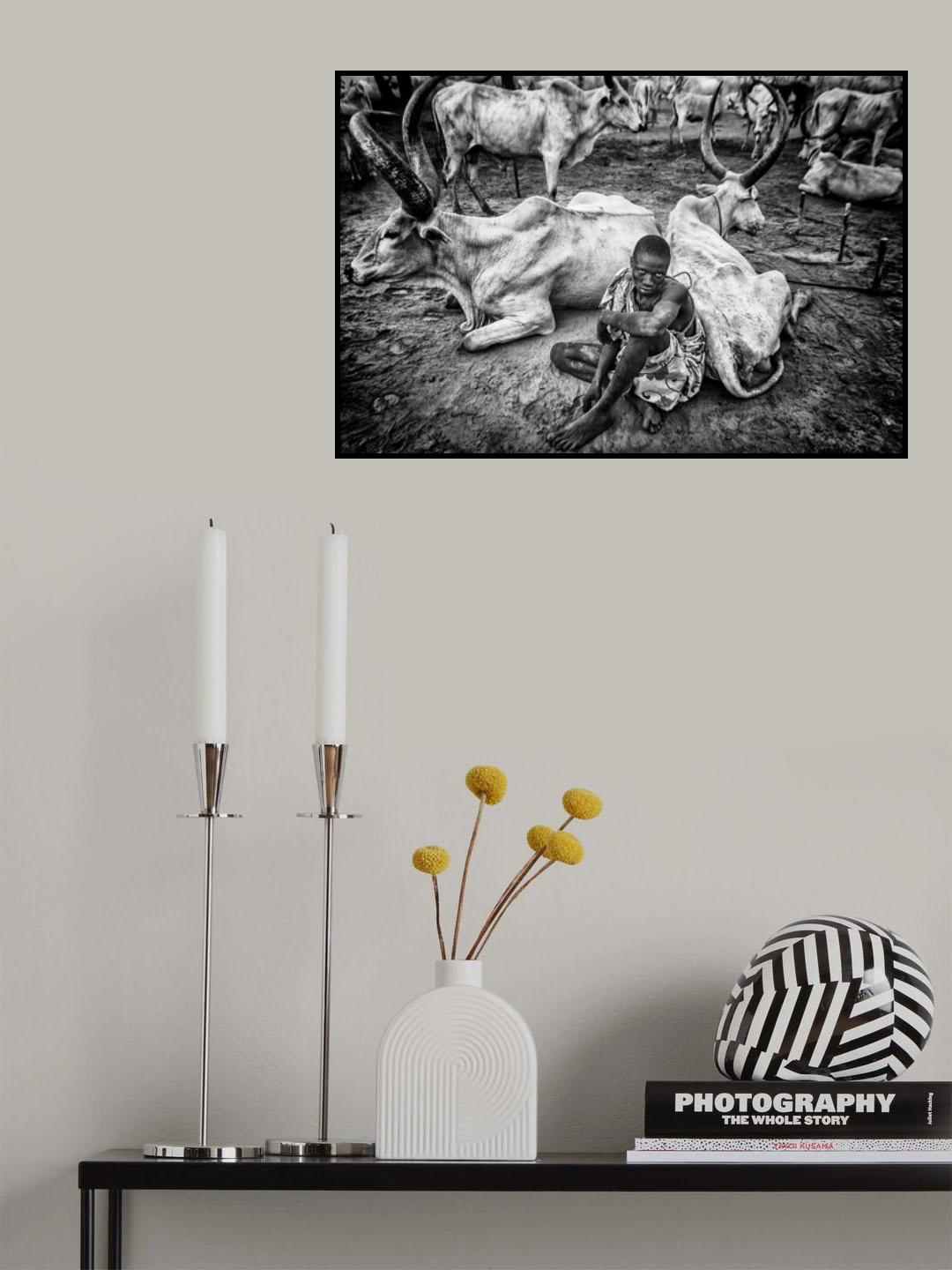 A scene of life in a mundari cattle camp - South Sudan Poster och Canvastavla