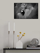 Women Poster och Canvastavla
