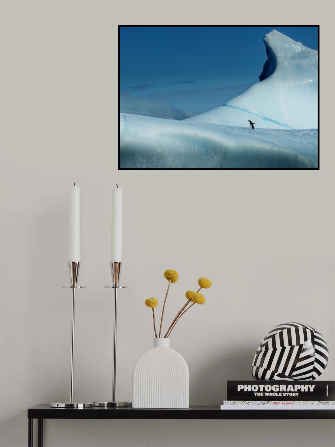 Adelie Poster och Canvastavla
