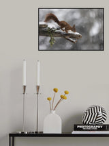 The Red squirrel Poster och Canvastavla