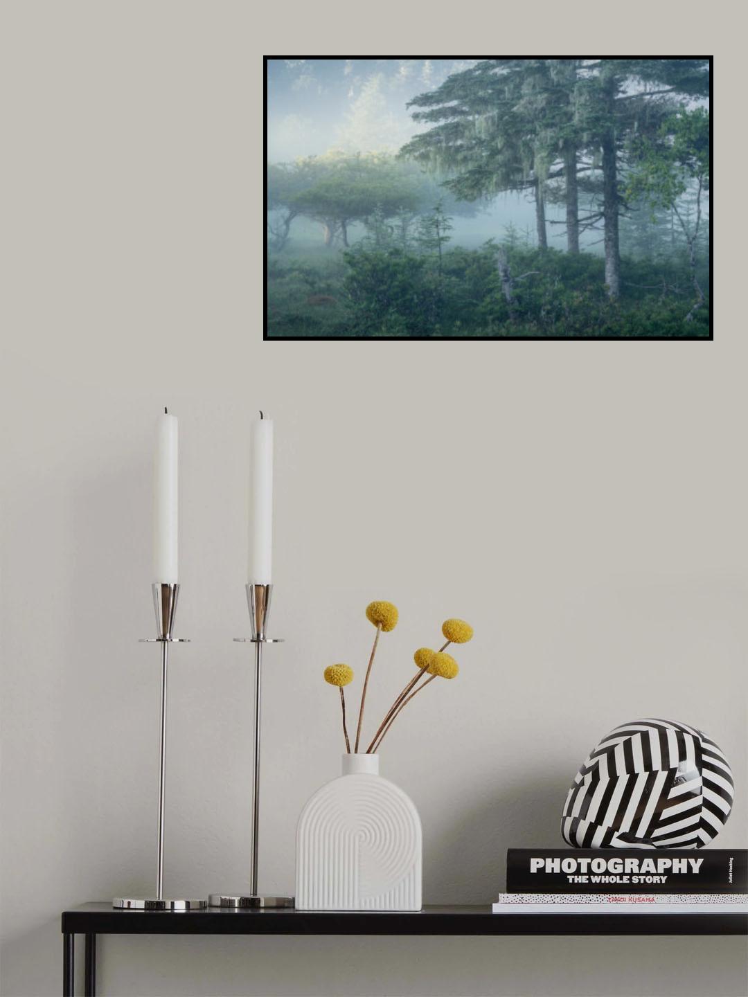 霧の中を通り抜ける Poster och Canvastavla