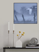 in the snow storm Poster och Canvastavla