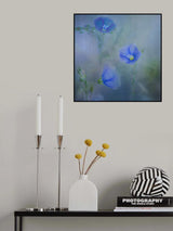Flax Poster och Canvastavla
