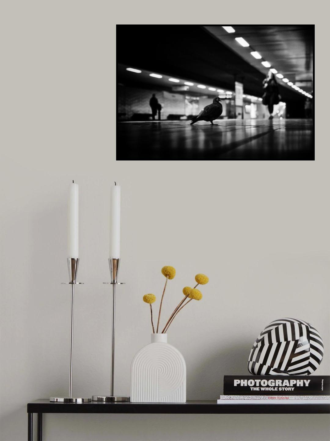 pause between two occurrences Poster och Canvastavla