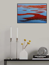 Suaeda Japonica Makino Poster och Canvastavla