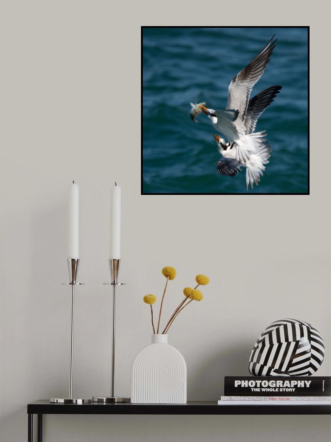Fight for the Catch Poster och Canvastavla