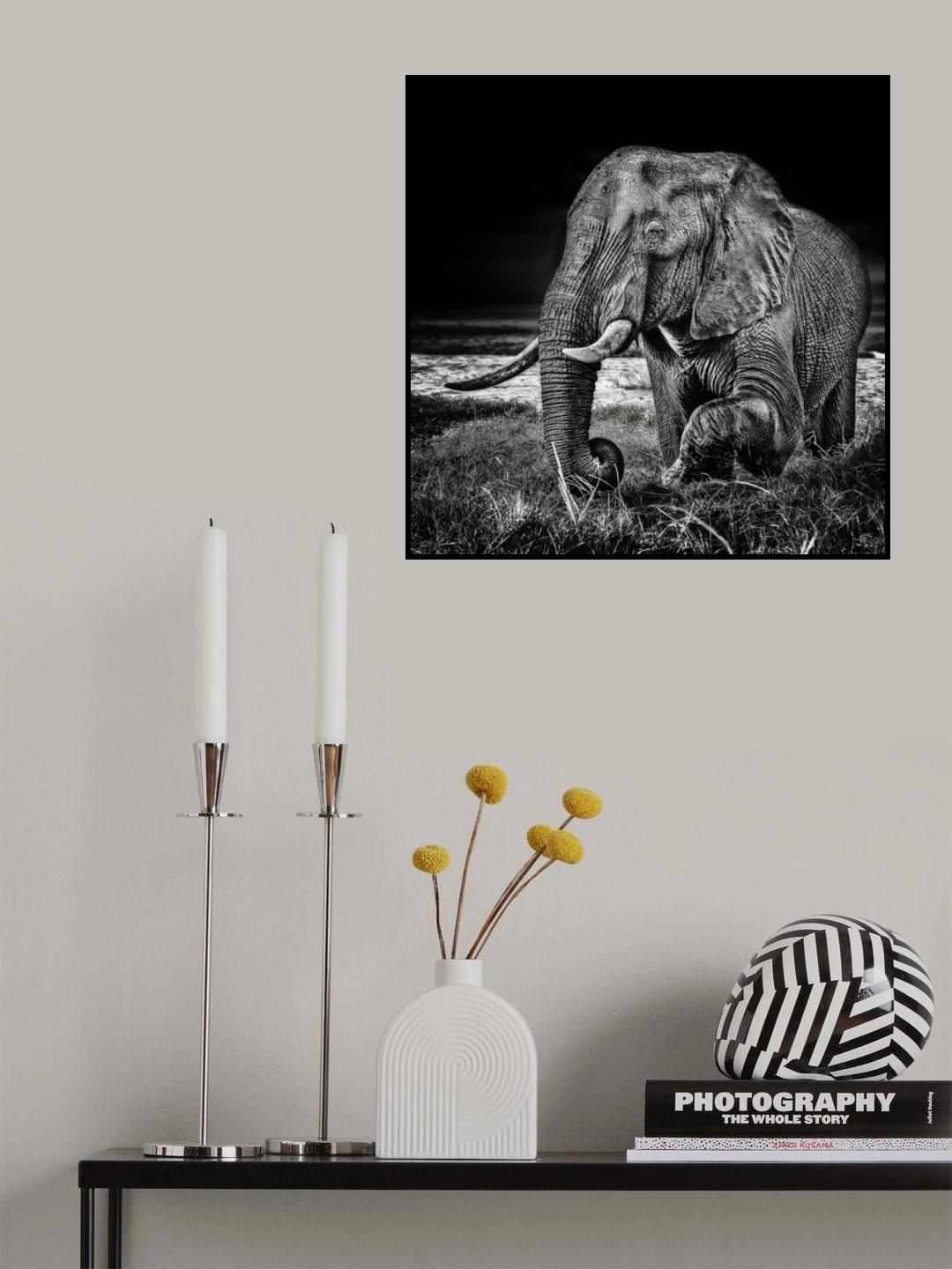 sunset at the waterhole Poster och Canvastavla