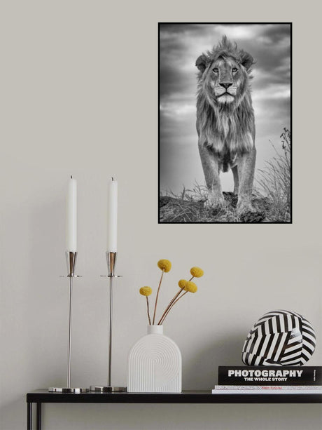 Encounter with the King Poster och Canvastavla