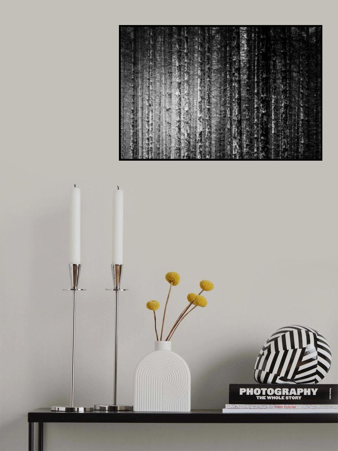 Skeleton Trees Poster och Canvastavla
