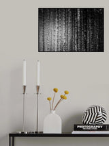Skeleton Trees Poster och Canvastavla