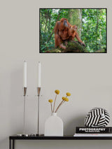 Deep in the Forest Poster och Canvastavla