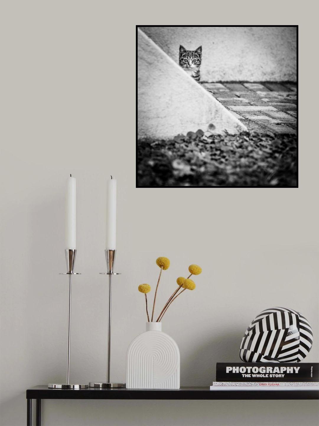 Poster och Canvastavla