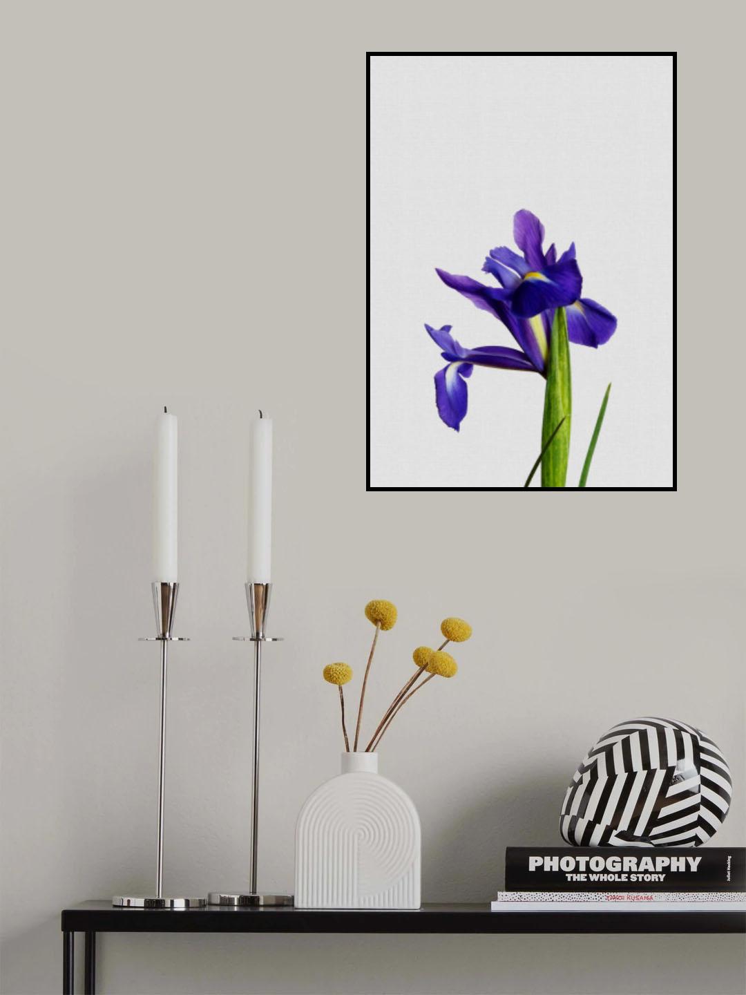 Iris Still Life Poster och Canvastavla