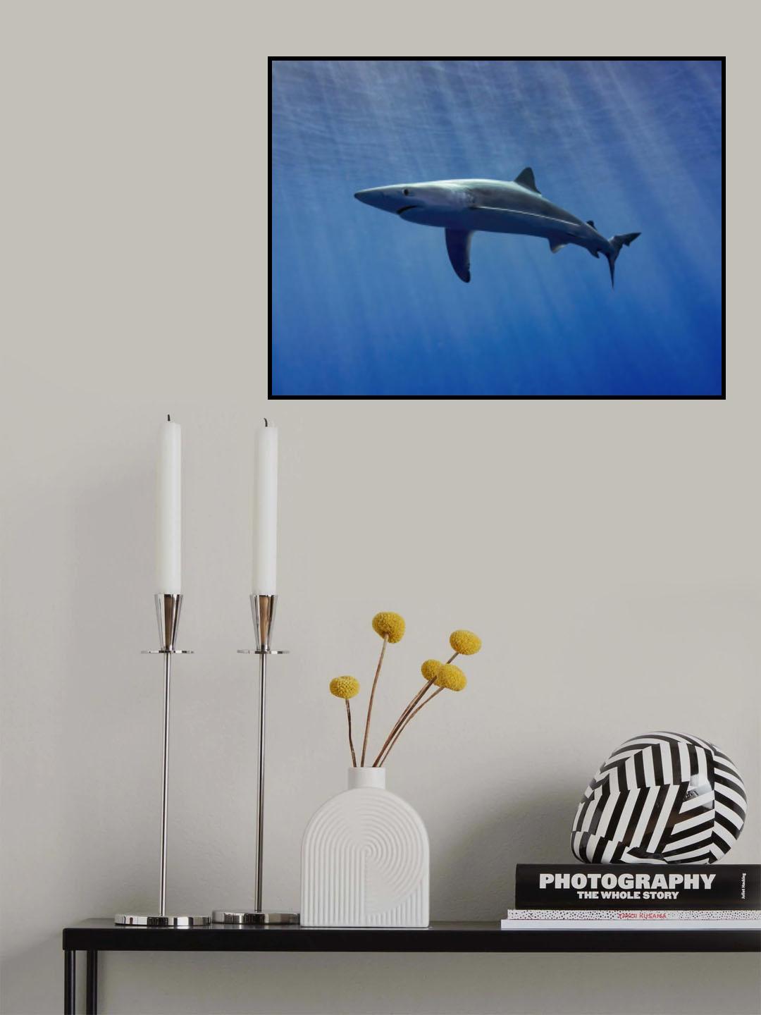 In backlight Poster och Canvastavla