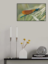 Damsel Poster och Canvastavla