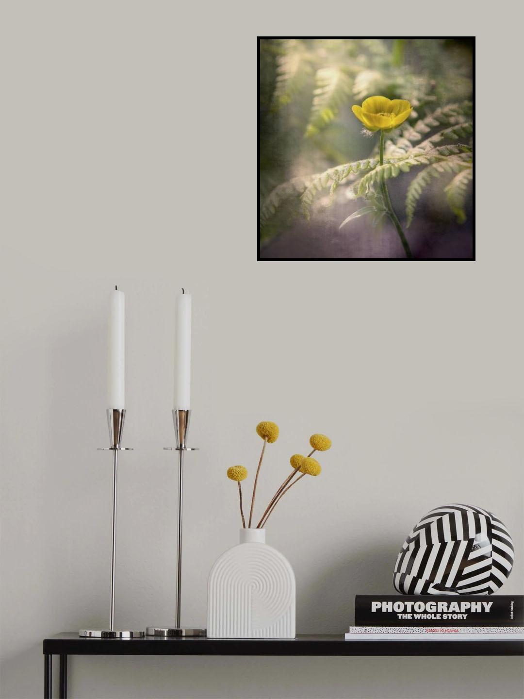 automn mood Poster och Canvastavla