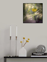 automn mood Poster och Canvastavla