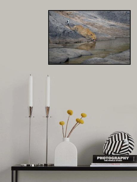 Dangerous beauty Poster och Canvastavla