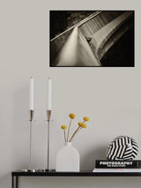 Lonely Audience Poster och Canvastavla