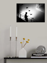 Falling cats Poster och Canvastavla