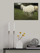 In element Poster och Canvastavla