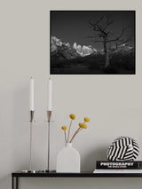 Stand by me Poster och Canvastavla