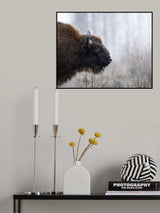 Bison's profile Poster och Canvastavla