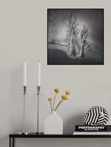 Evanescent trees Poster och Canvastavla