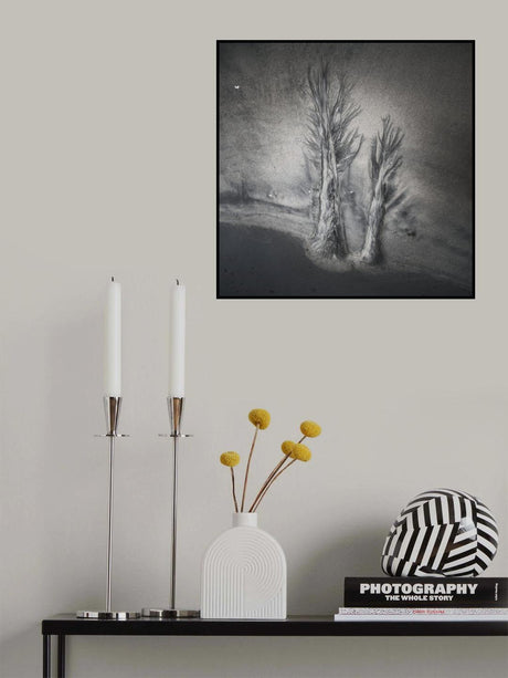Evanescent trees Poster och Canvastavla