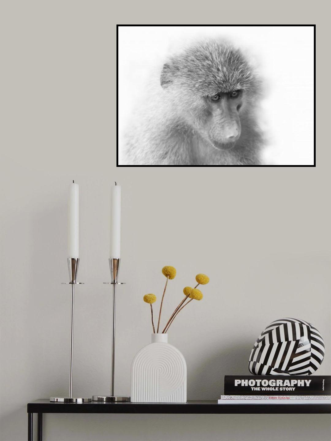 stare Poster och Canvastavla