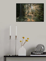 Rays, part 2 Poster och Canvastavla