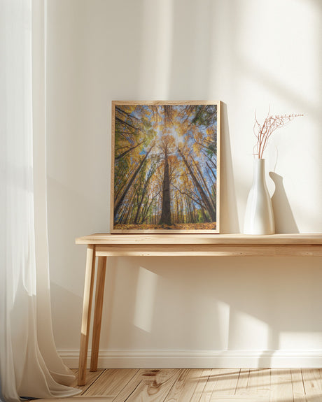 Otoño en Sesué Poster och Canvastavla