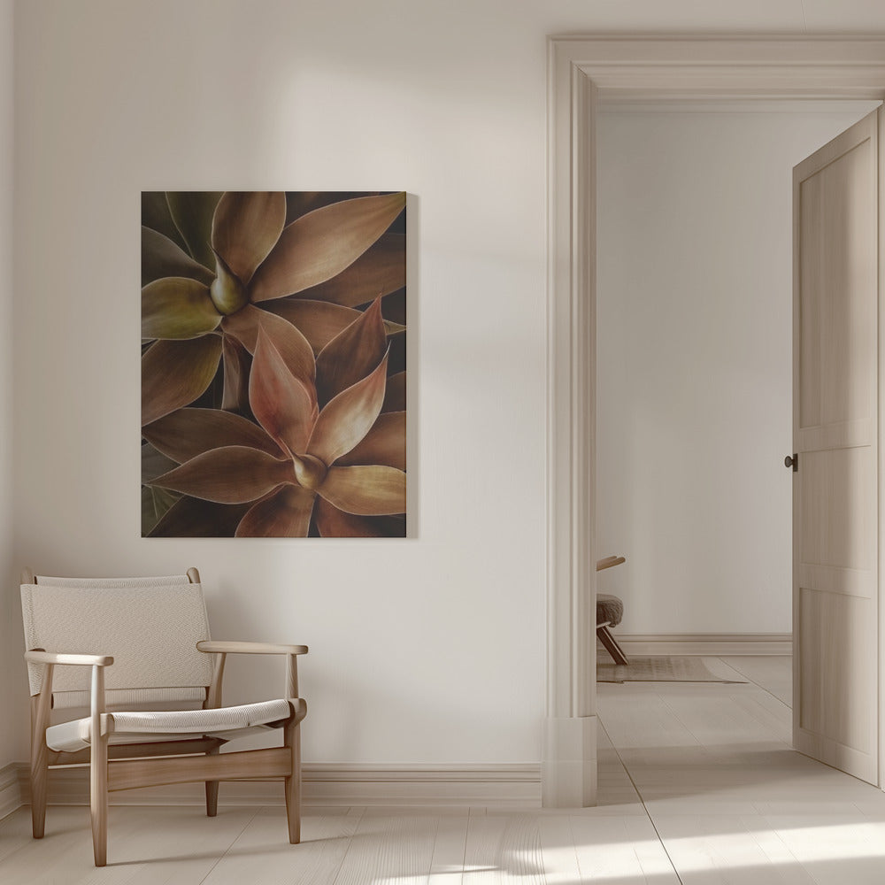 Foxtail Agave Abstract Poster och Canvastavla