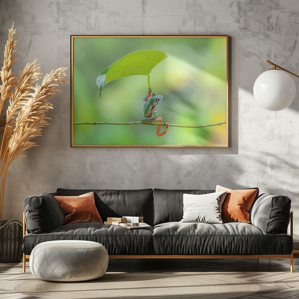 Green frog Poster och Canvastavla